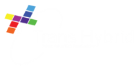 Trans Hybrid Communication